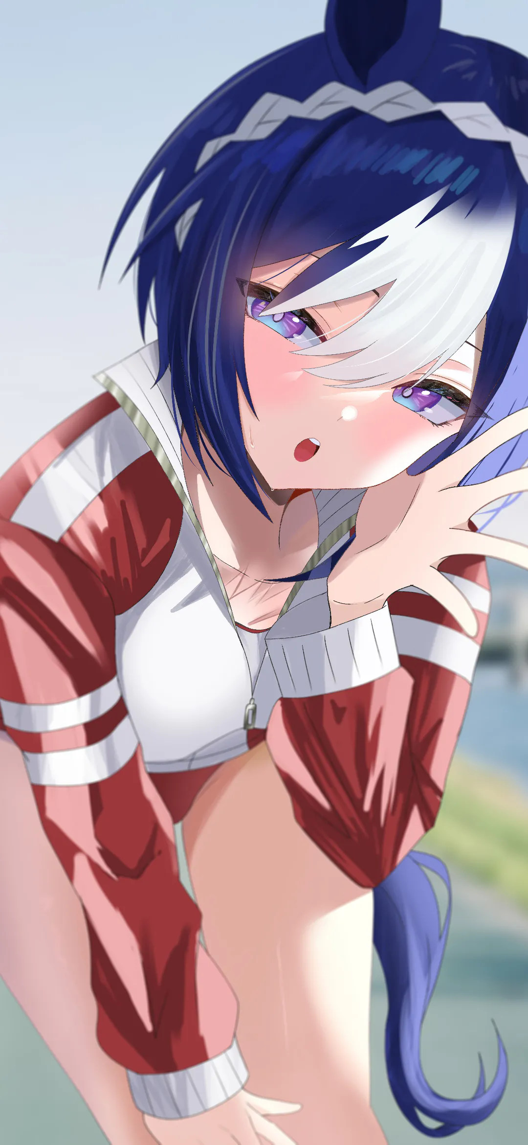 【动漫壁纸】崩坏：星穹铁道 卡芙卡 花火 小鸟游星野 小鲨鱼 喜多川多梦 插画美图推荐 动漫壁纸-第8张
